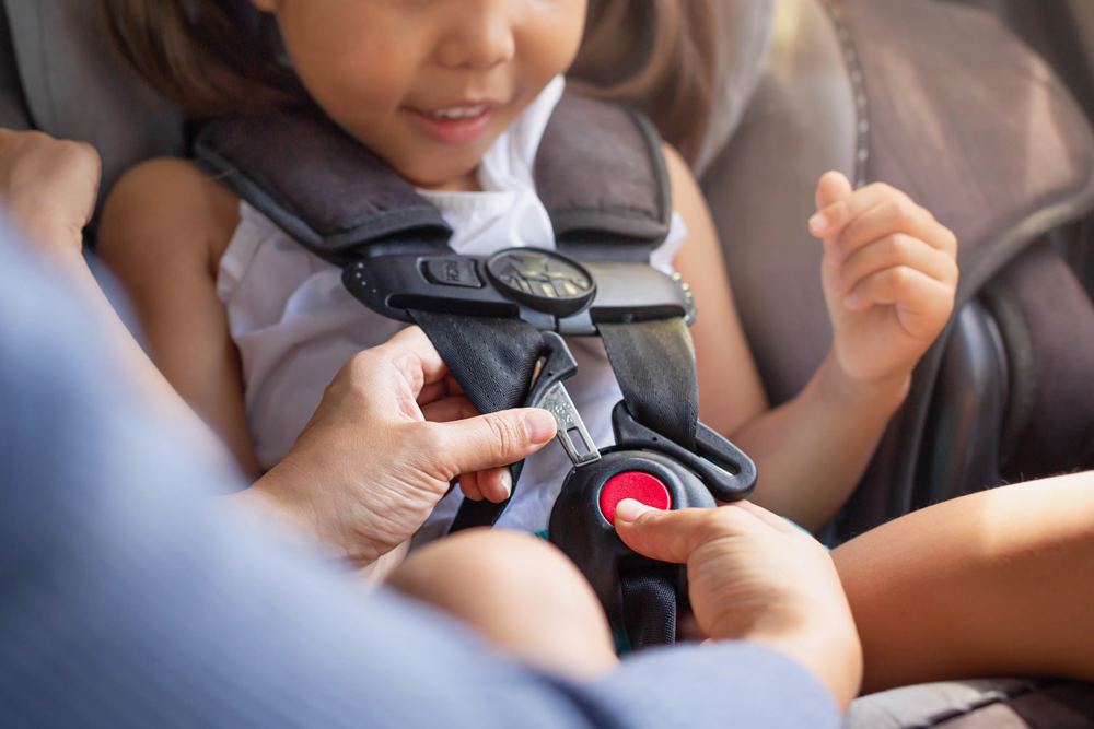 Car Seats To In New Zealand